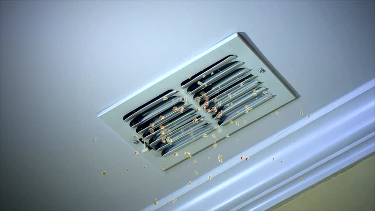 Best Best Air Duct Cleaning Near Me  in Manasota Key, FL